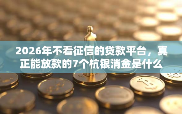 2026年不看征信的贷款平台，真正能放款的7个杭银消金是什么贷款平台推荐