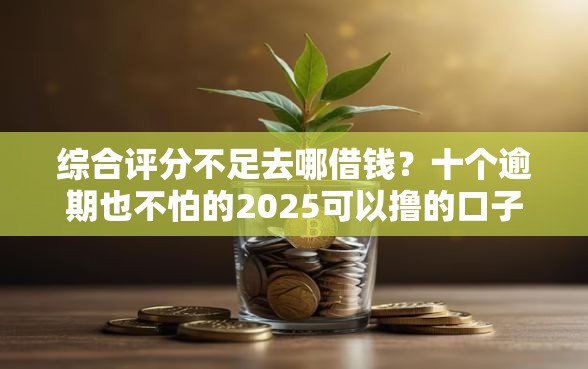 综合评分不足去哪借钱？十个逾期也不怕的2025可以撸的口子