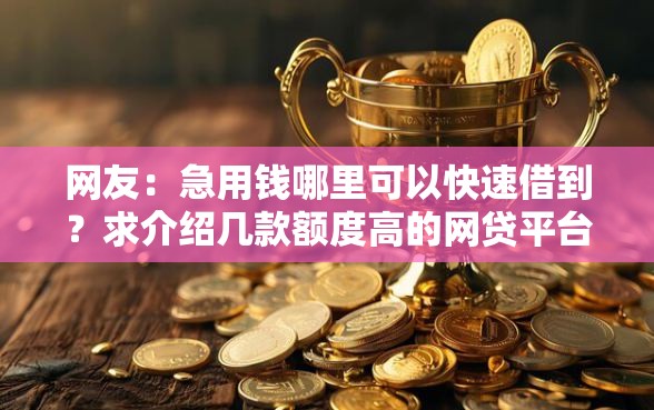 网友：急用钱哪里可以快速借到？求介绍几款额度高的网贷平台