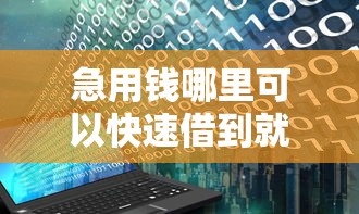 急用钱哪里可以快速借到就选这8个4000元百分百下款无视黑白户网贷口子