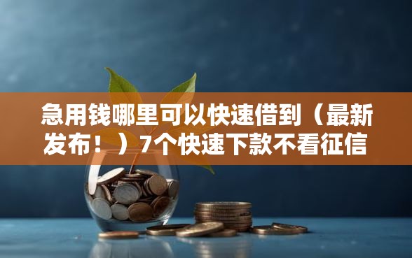 急用钱哪里可以快速借到（最新发布！）7个快速下款不看征信的平台