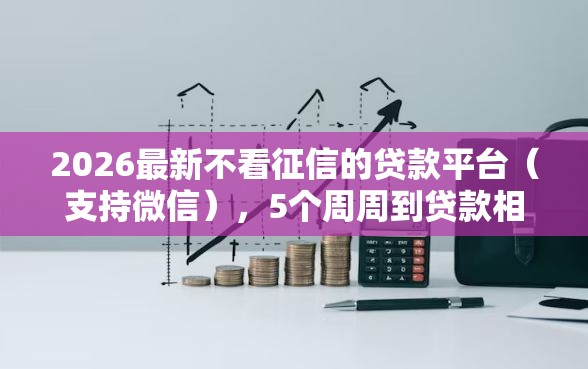 2026最新不看征信的贷款平台（支持微信），5个周周到贷款相同系列的软件无私分享