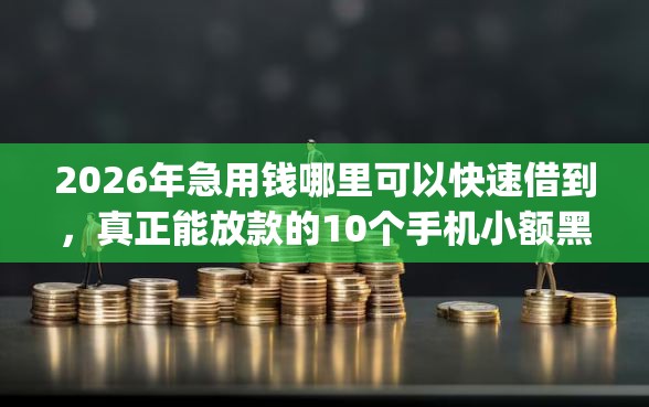 2026年急用钱哪里可以快速借到，真正能放款的10个手机小额黑户快速贷款app推荐
