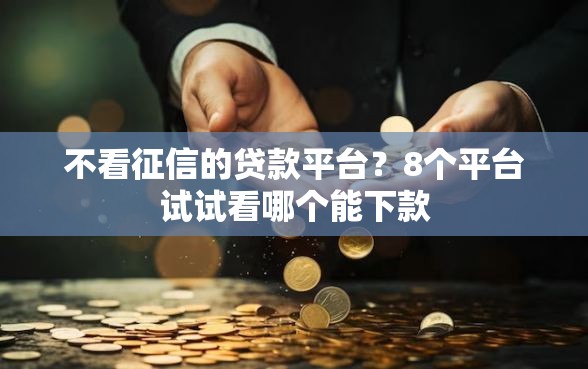不看征信的贷款平台？8个平台试试看哪个能下款