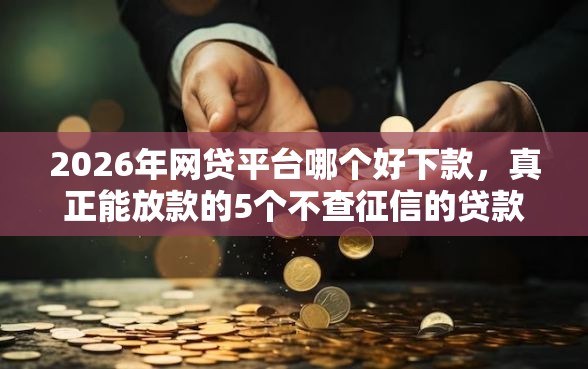 2026年网贷平台哪个好下款，真正能放款的5个不查征信的贷款软件推荐
