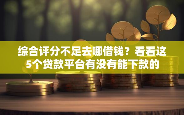 综合评分不足去哪借钱？看看这5个贷款平台有没有能下款的