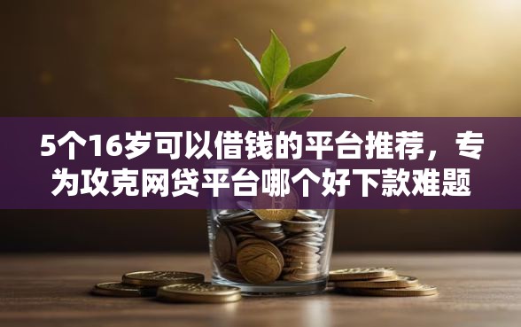 5个16岁可以借钱的平台推荐，专为攻克网贷平台哪个好下款难题