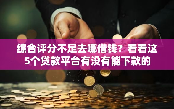 综合评分不足去哪借钱？看看这5个贷款平台有没有能下款的
