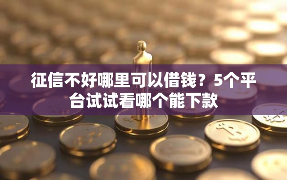 征信不好哪里可以借钱？5个平台试试看哪个能下款