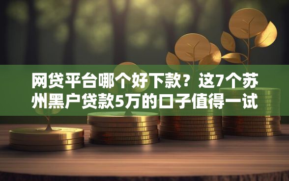 网贷平台哪个好下款？这7个苏州黑户贷款5万的口子值得一试