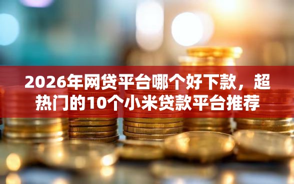 2026年网贷平台哪个好下款，超热门的10个小米贷款平台推荐