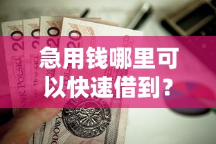 急用钱哪里可以快速借到？这10个网贷口子风控不严的平台值得一试
