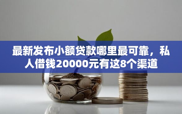 最新发布小额贷款哪里最可靠，私人借钱20000元有这8个渠道