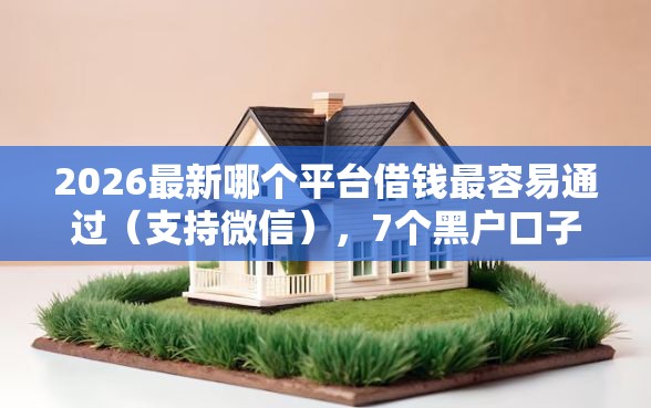 2026最新哪个平台借钱最容易通过（支持微信），7个黑户口子秒下的无私分享