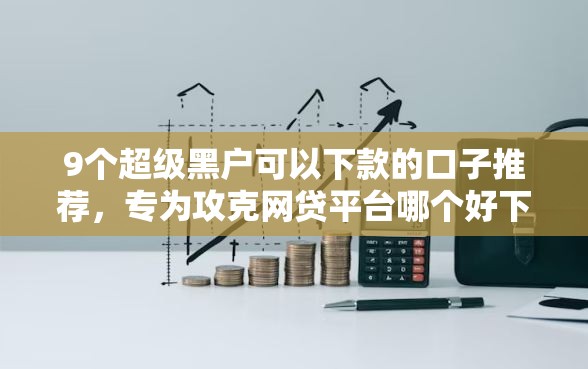 9个超级黑户可以下款的口子推荐，专为攻克网贷平台哪个好下款难题