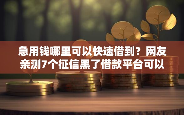 急用钱哪里可以快速借到？网友亲测7个征信黑了借款平台可以借钱应急盘点