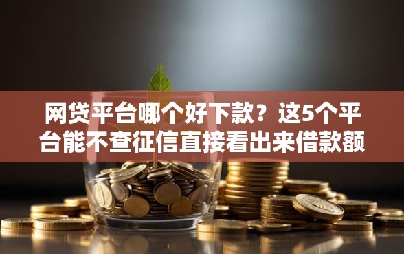 网贷平台哪个好下款？这5个平台能不查征信直接看出来借款额度值得一试