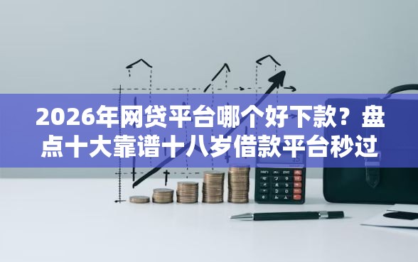 2026年网贷平台哪个好下款？盘点十大靠谱十八岁借款平台秒过的软件