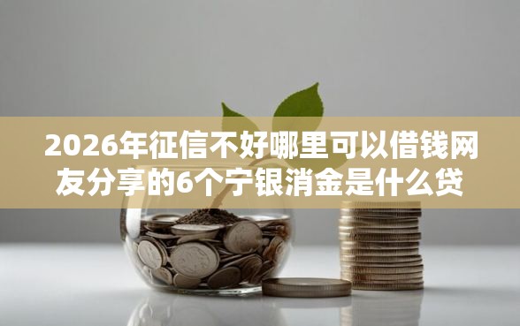 2026年征信不好哪里可以借钱网友分享的6个宁银消金是什么贷款平台我觉得不错！