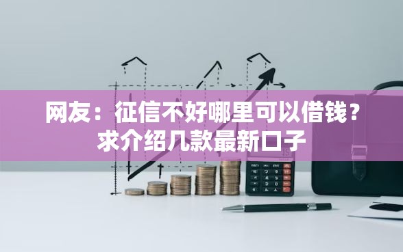 网友：征信不好哪里可以借钱？求介绍几款最新口子