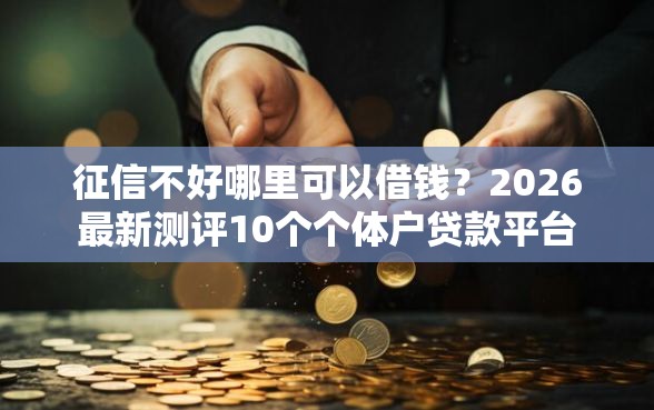 征信不好哪里可以借钱？2026最新测评10个个体户贷款平台