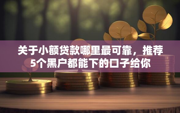 关于小额贷款哪里最可靠，推荐5个黑户都能下的口子给你