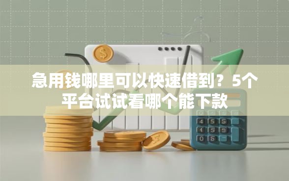 急用钱哪里可以快速借到？5个平台试试看哪个能下款