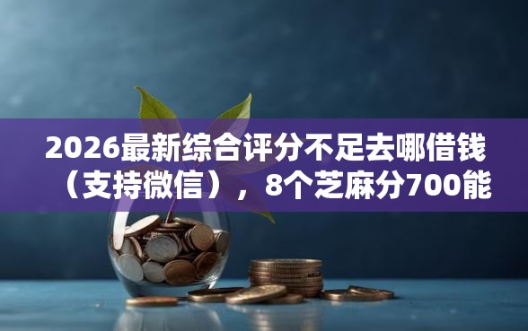 2026最新综合评分不足去哪借钱（支持微信），8个芝麻分700能秒下的软件无私分享