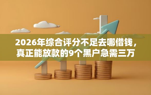 2026年综合评分不足去哪借钱，真正能放款的9个黑户急需三万秒到的的口子推荐