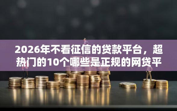 2026年不看征信的贷款平台，超热门的10个哪些是正规的网贷平台推荐