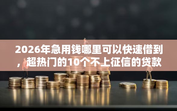 2026年急用钱哪里可以快速借到，超热门的10个不上征信的贷款口子推荐