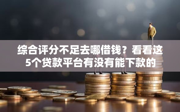 综合评分不足去哪借钱？看看这5个贷款平台有没有能下款的