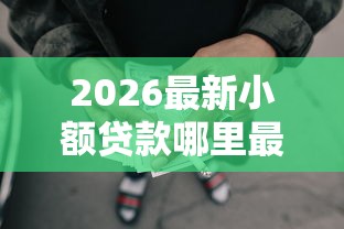2026最新小额贷款哪里最可靠，总结十个通过率高的网贷平台！
