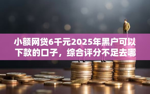 小额网贷6千元2025年黑户可以下款的口子，综合评分不足去哪借钱的6个平台介绍