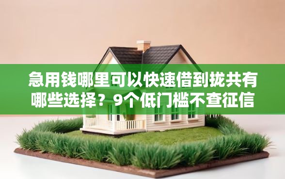 急用钱哪里可以快速借到拢共有哪些选择？9个低门槛不查征信的平台详解