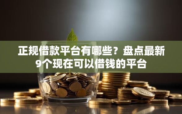 正规借款平台有哪些？盘点最新9个现在可以借钱的平台