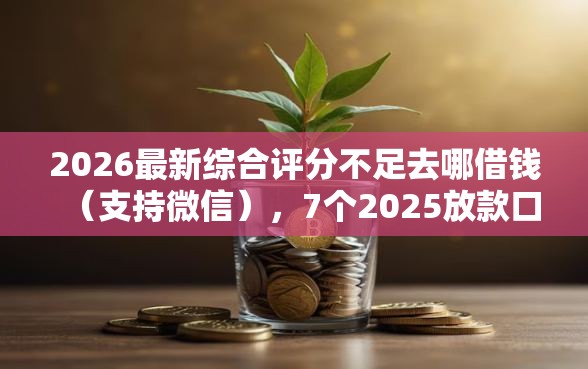 2026最新综合评分不足去哪借钱（支持微信），7个2025放款口子论坛无私分享