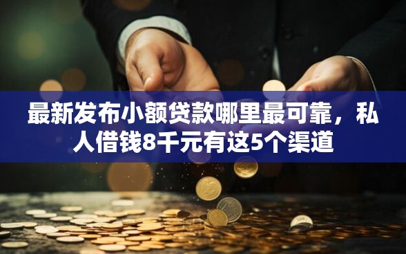 最新发布小额贷款哪里最可靠，私人借钱8千元有这5个渠道