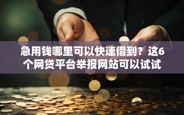 急用钱哪里可以快速借到？这6个网贷平台举报网站可以试试