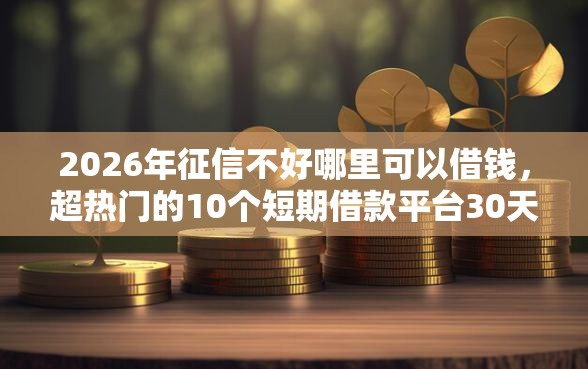 2026年征信不好哪里可以借钱，超热门的10个短期借款平台30天不看征信推荐