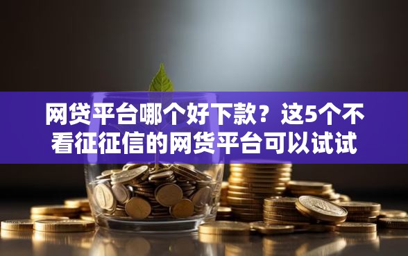 网贷平台哪个好下款？这5个不看征征信的网货平台可以试试