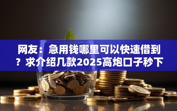 网友：急用钱哪里可以快速借到？求介绍几款2025高炮口子秒下款