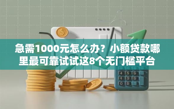 急需1000元怎么办？小额贷款哪里最可靠试试这8个无门槛平台