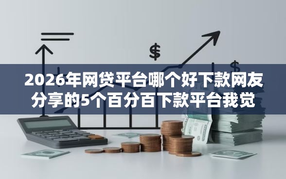 2026年网贷平台哪个好下款网友分享的5个百分百下款平台我觉得不错！