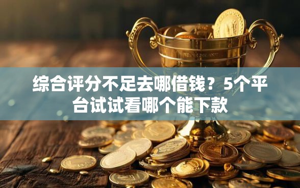 综合评分不足去哪借钱？5个平台试试看哪个能下款