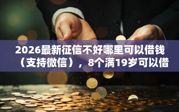 2026最新征信不好哪里可以借钱（支持微信），8个满19岁可以借款的平台无私分享