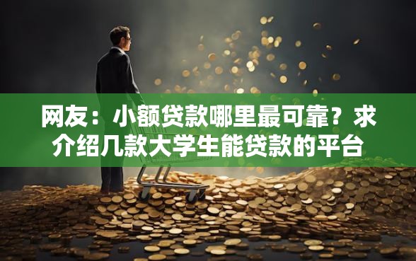 网友：小额贷款哪里最可靠？求介绍几款大学生能贷款的平台