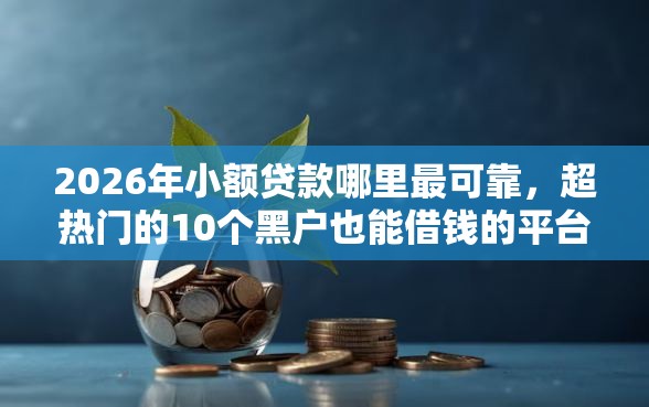 2026年小额贷款哪里最可靠，超热门的10个黑户也能借钱的平台推荐
