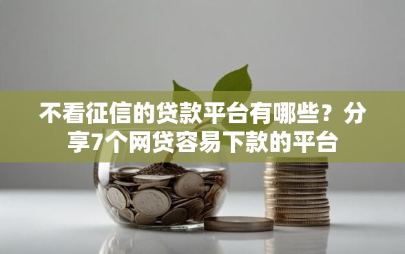不看征信的贷款平台有哪些？分享7个网贷容易下款的平台