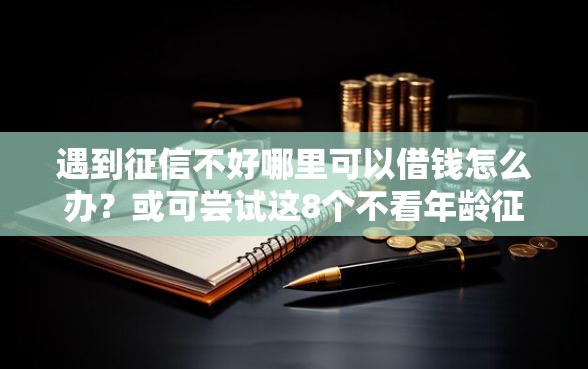 遇到征信不好哪里可以借钱怎么办？或可尝试这8个不看年龄征信负债的平台
